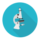 Quiz image